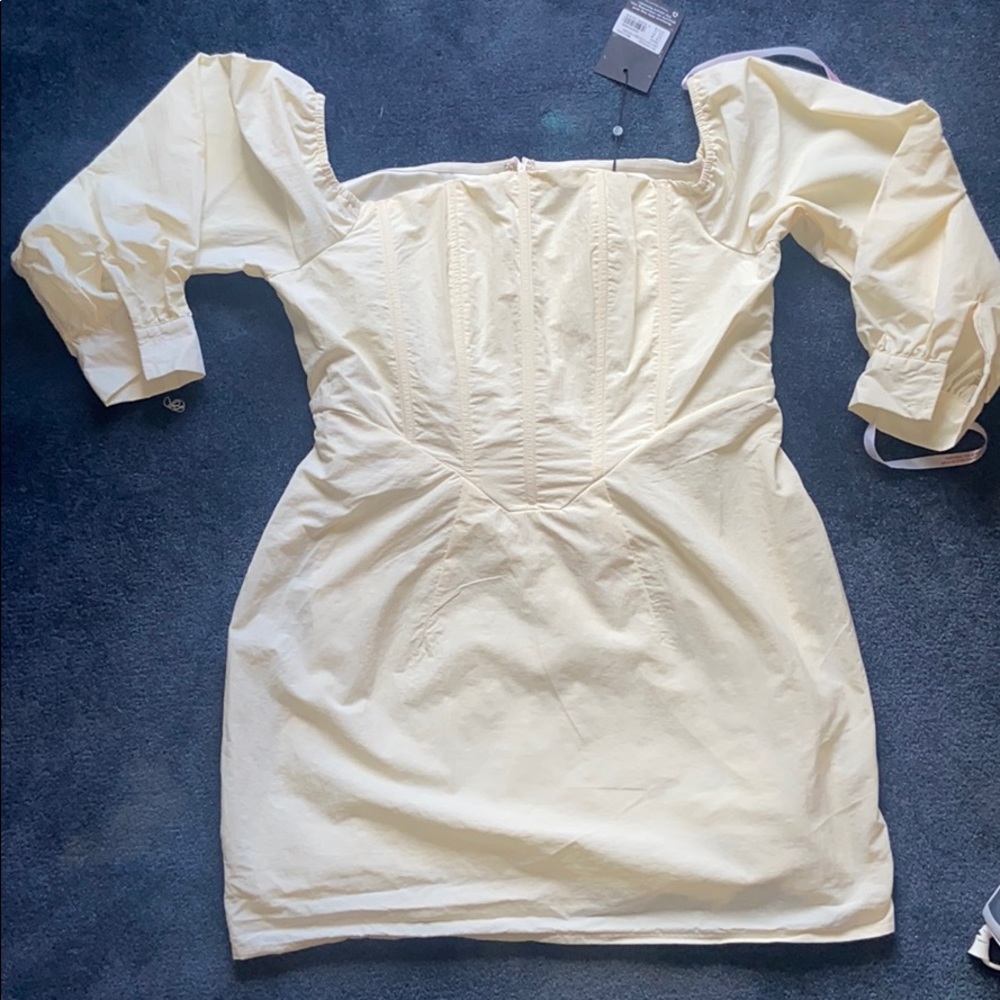 Corset Inspired Mini Dress